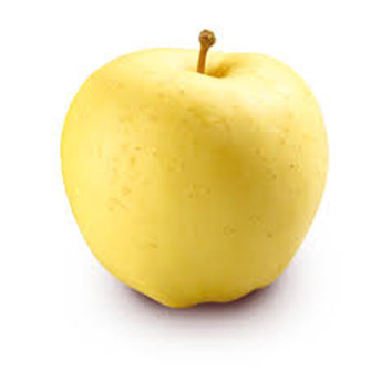 JABŁOŃ ANANAS BERŻENICKI | DrzewkaOgrodowe.pl